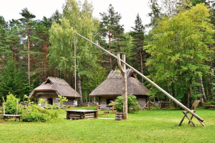 Tanuma * Tallinn